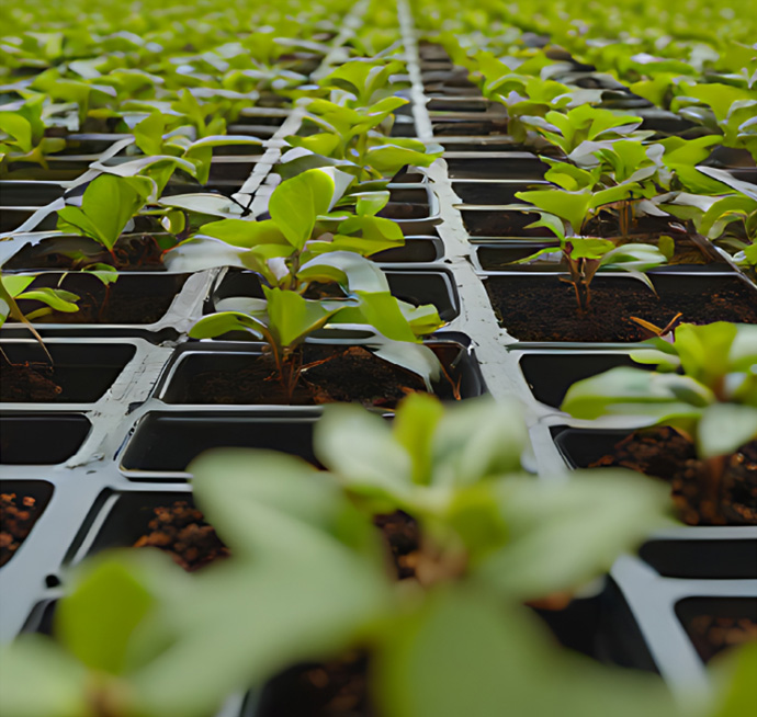 PROTERGIUM_Website Bioinsumos Protergium