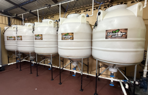 Large fermentation tanks used for biological input production at an agricultural biotechnology facility - Pan-American Bioinputs Forum